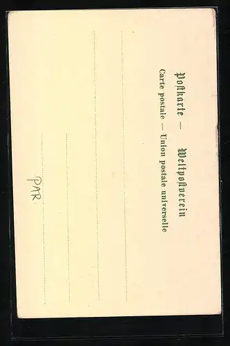 AK Paraguay, Pazyjusticia, Wappentier Löwe in Gold mit Stern