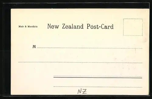 AK Dunedin, The Avon Victoria St. Bridge Christchurch