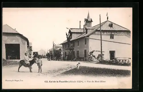 AK Royer, Vue du Mont Blanc, Hotel du Col de la Faucille