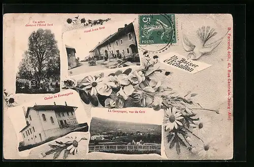 AK Echallon, Hotel Jeau Bret, Un arbre derriere l`Hotel Bret, Chalet de Fromagerie