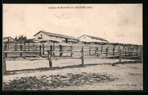 AK Coligny, Annexe de Remonte