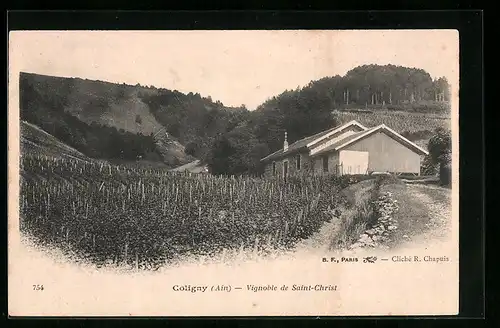 AK Coligny, Vignoble de Saint-Christ