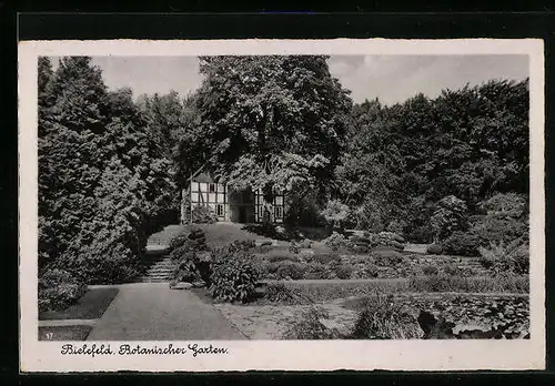 AK Bielefeld, im Botanischen Garten