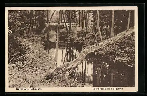 AK Königswusterhausen, die Spukbrücke im Tiergarten