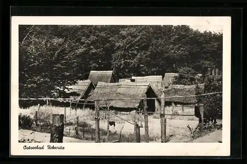 AK Ückeritz, die bäuerlichen Hütten