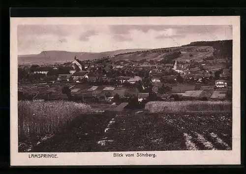 AK Lamspringe, Blick vom Söhrberg auf den Ort