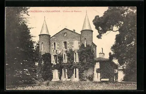 AK Chatillon-s-Chalaronne, Chateau de Bissieux, facade