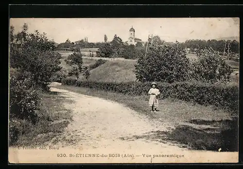 AK Saint-Étienne-du-Bois, Vue panoramique