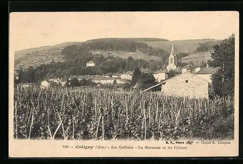 AK Coligny, Les Collines, La Baronne et les Chenes