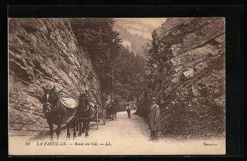 AK Faucille, Route du Col