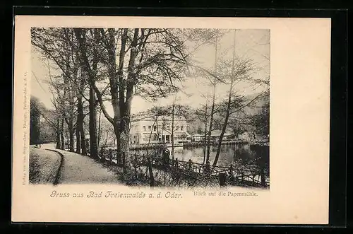AK Bad Freienwalde / Oder, Blick auf die Papenmühle