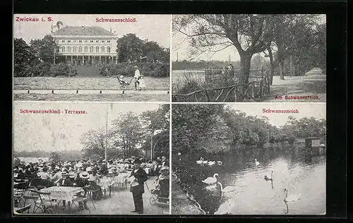 AK Zwickau i. Sa., Schwanenschloss, Schwanenteich und Schwanenschloss-Terrasse