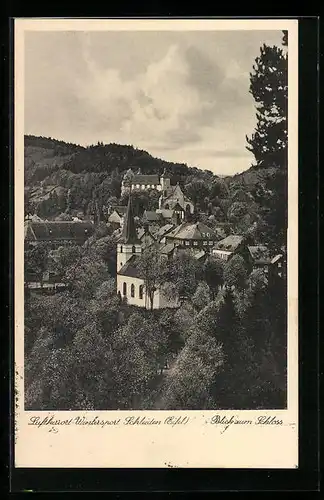 AK Schleiden / Eifel, Blick zum Schloss