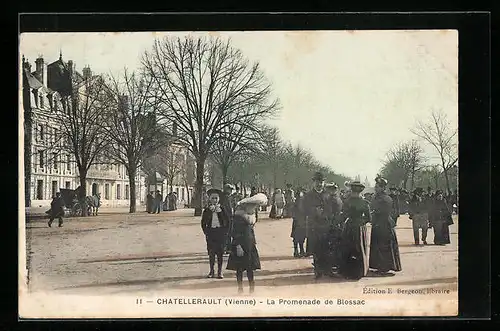 AK Chatellerault, La Promenade de Blossac