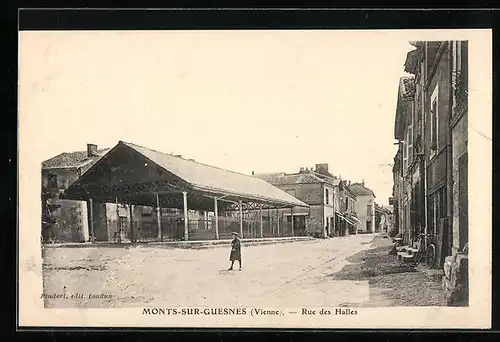 AK Monts-sur-Guesnes, Rue des Halles