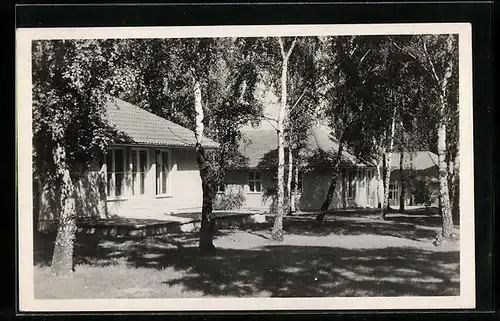AK Döberitz, Olympisches Dorf, Wohnhäuser im Birkenwald