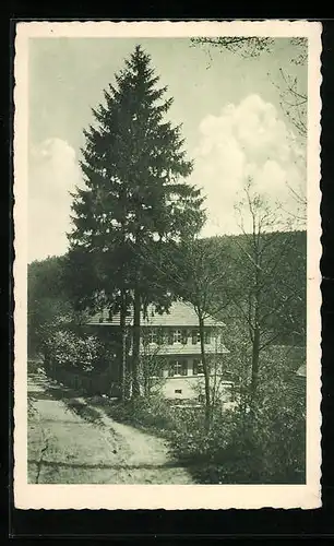 AK Eisenberg i. Thür., Sommerfrische und Restaurant Amtsschreibersmühle im Mühltal, Bes.: Rich. Kühne