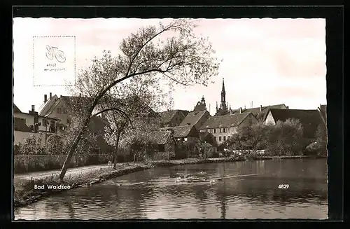 AK Bad Waldsee, Partie vom See mit Häusern