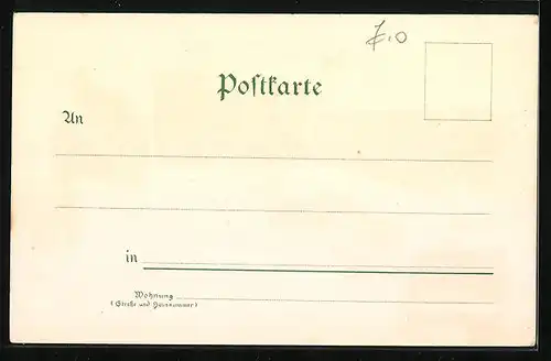 Lithographie Reichenbach i. V., Ortsansicht, Gasthaus Schöne Aussicht