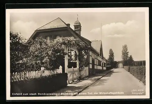 AK Hattenheim a. Rh., Einfahrt zum Domänenweingut Steinberg