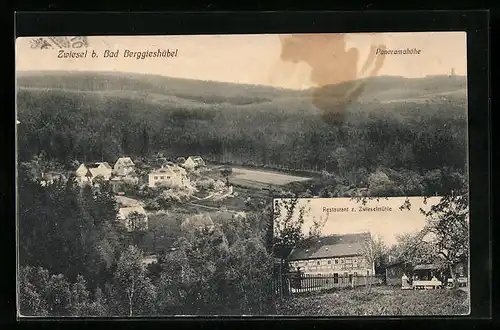 AK Zwiesel b. Bad Berggieshübel, Blick auf die Panoramahöhe