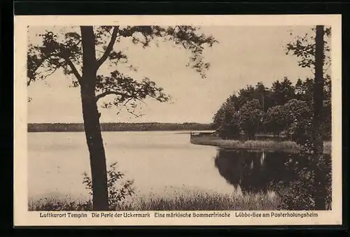 AK Templin, Lübbe-See am Posterholungsheim