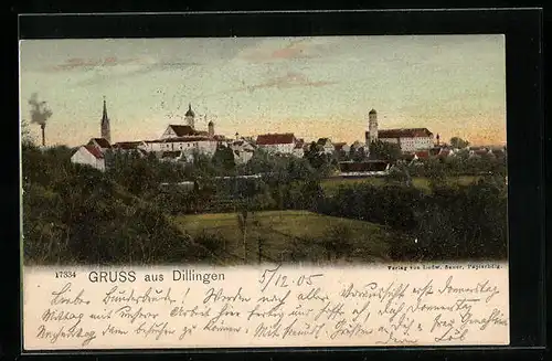 AK Dillingen, Gesamtansicht