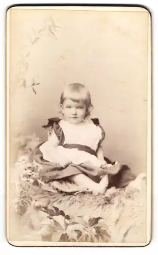 Fotografie Martin Jacolette, Dover, niedliches englisches Mädchen sitzt auf einem Fell