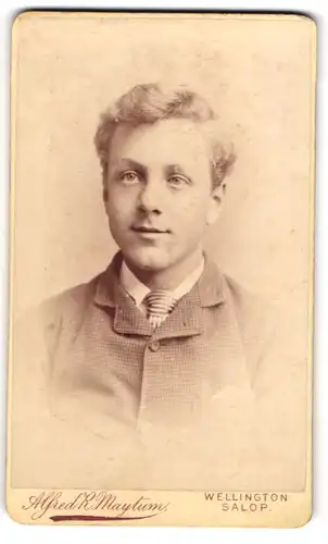 Fotografie Alfred R. Maytum, Wellington, junger Engländer im Tweed Anzug mit Krawatte, 1886