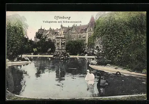 AK Offenburg, Volksgarten mit Schwanenteich