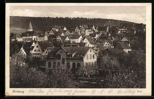 AK Wildberg, Totalansicht mit Umland
