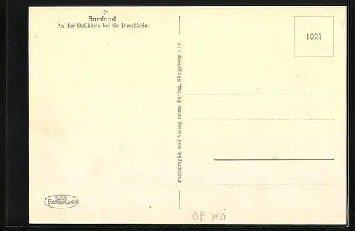 AK Gr. Dirschkeim, An der Steilküste