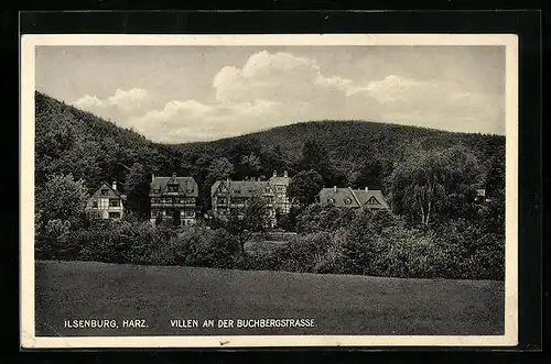 AK Ilsenburg, Villen an der Buchbergstrasse