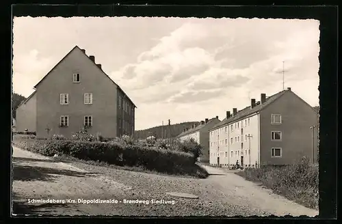 AK Schmiedeberg /Dippoldiswalde, Brandweg-Siedlung