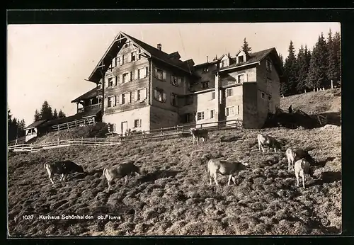 AK Flums, Kurhaus Schönhalden