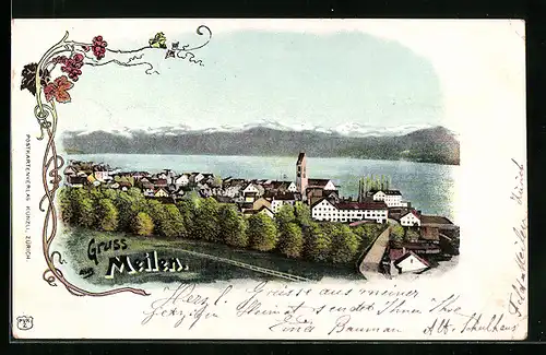 Lithographie Meilen, Panoramablick von der Bergwiese