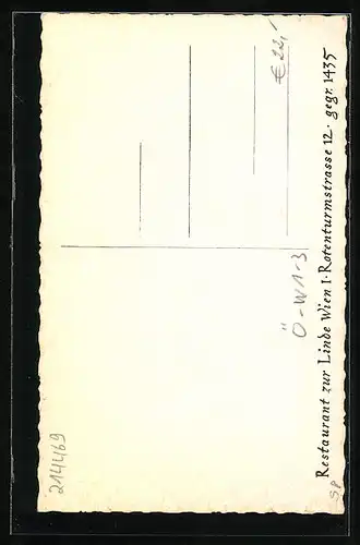 AK Wien, Restaurant zur Linde, Rotenturmstrasse 12