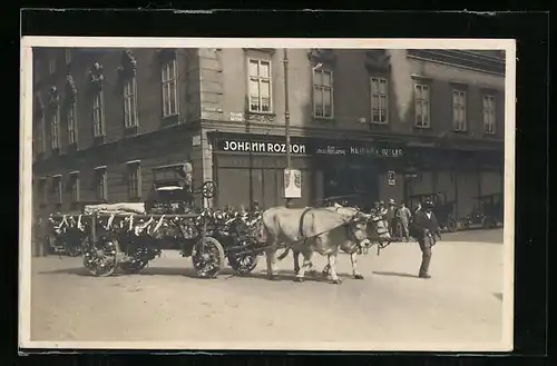 AK Wien, Gasthaus zur Goldenen Lampe am Stephansplatz, Ochsenfuhrwerk