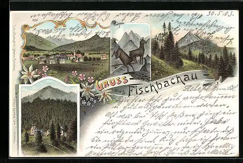 Lithographie Fischbachau, Bayerisches Hochland, Birkenstein, Gämse in den Bergen