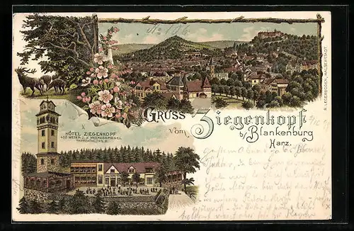 Lithographie Blankenburg /Harz, Ortsansicht und Hotel Ziegenkopf aus der Vogelschau