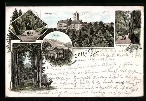 Vorläufer-Lithographie Eisenach, Wartburg, Im Annathal, Blick v. d. Hohen Sonne, Die Drachenschlucht 1895