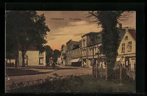 AK Pinneberg, Strasse Dingstätte