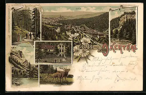 Lithographie Oker, Rabowklippe, Romkerhaller Wasserfall, Waldhaus