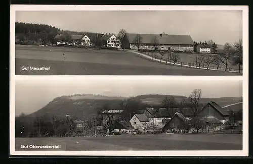 AK Donzdorf, Gut Oberweckerstell, Gut Messelhof