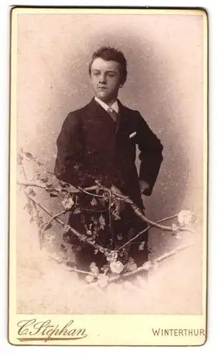 Fotografie C. Stephan, Winterthur, junger Knabe im Anzug posiert im Atelier