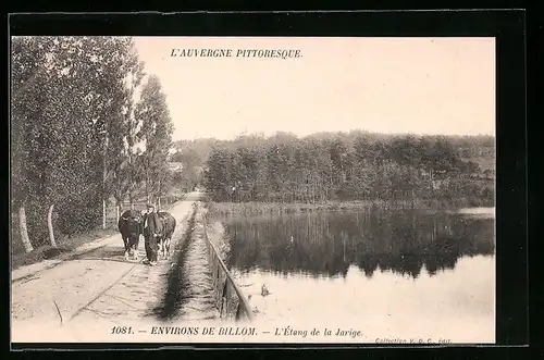 AK Billom, L`Etang de la Jarige