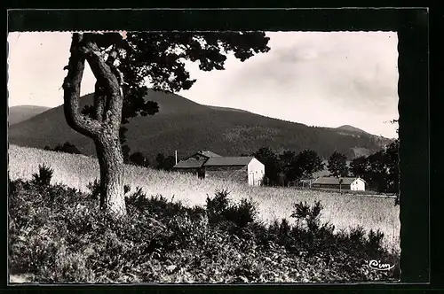 AK St-Pierre-la-Bourlhonne, Le Bois de Grange, Vue de la Route du Col de Béal