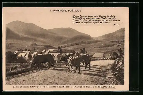 AK Bressouleille, Paysage au Hameau