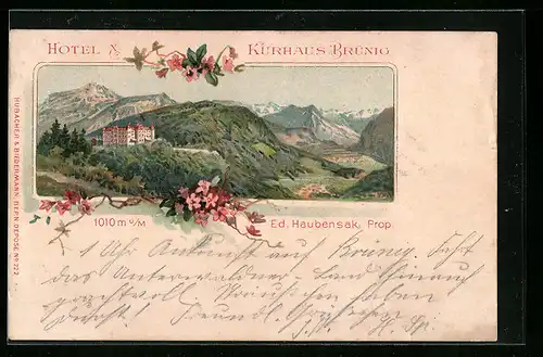 Lithographie Brünig, Hotel Kurhaus Brünig, Panorama