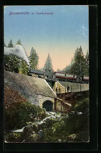 AK Brocken, Brockenbahn auf einer Brücke im Tumkuhlental